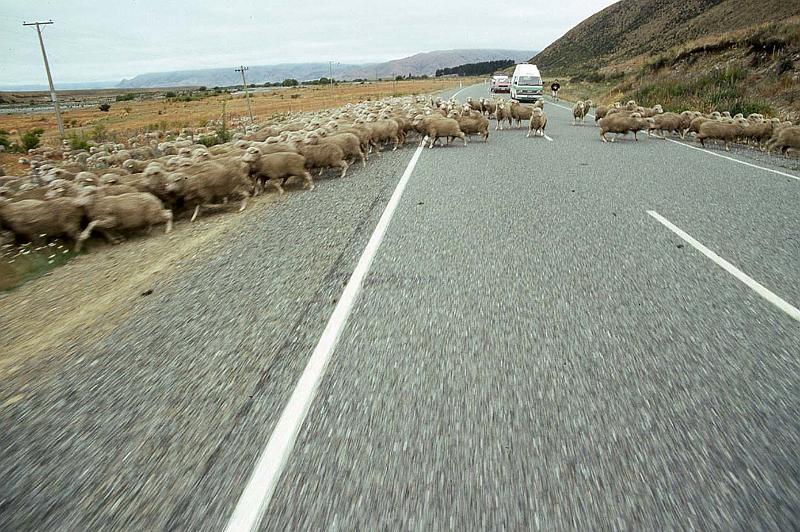 WT 0200 049-14 New Zealand.jpg